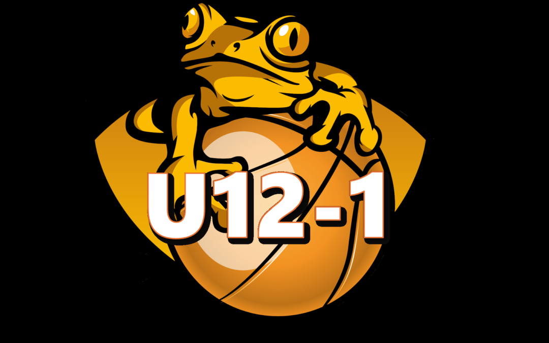 Team U12-1