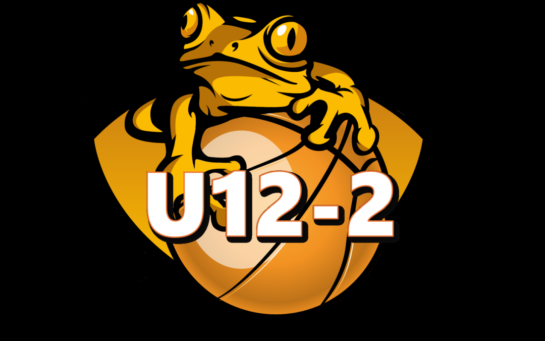 Team U12-2